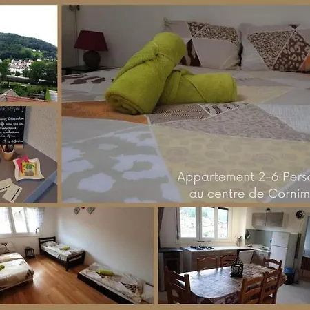Διαμέρισμα Appartement 6 Personnes Proche La Bresse Avec Vue Montagne *